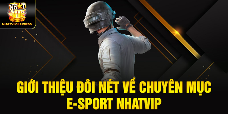 Giới thiệu đôi nét về chuyên mục E-sport nhatvip