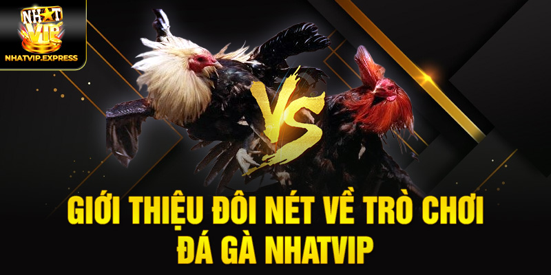 Giới thiệu đôi nét về trò chơi Đá gà nhatvip