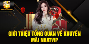 Giới thiệu tổng quan về Khuyến mãi nhatvip