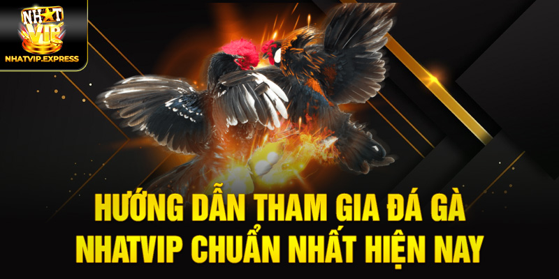 Hướng dẫn tham gia Đá gà nhatvip chuẩn nhất hiện nay