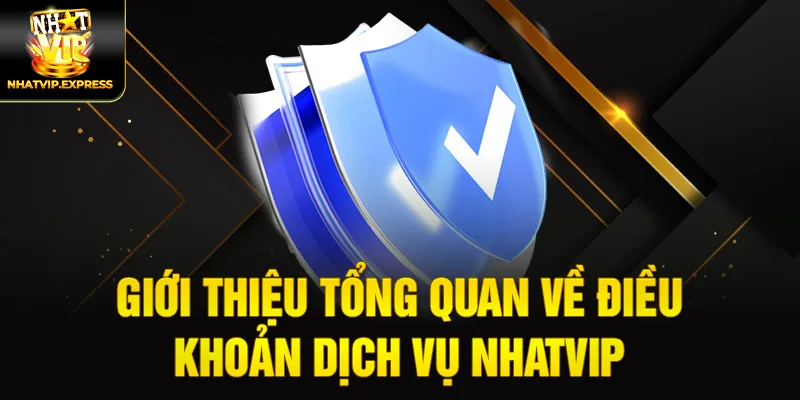 Giới thiệu tổng quan về điều khoản dịch vụ nhatvip