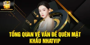 Tổng quan về vấn đề quên mật khẩu nhatvip