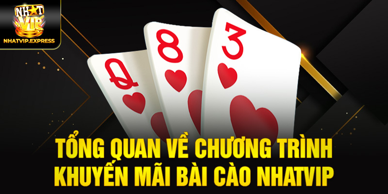 Tổng quan về chương trình khuyến mãi Bài cào nhatvip