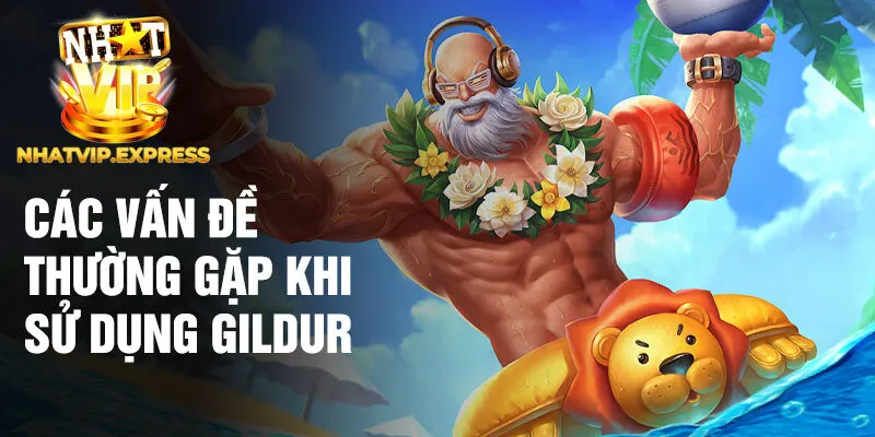 Các vấn đề thường gặp khi sử dụng Gildur